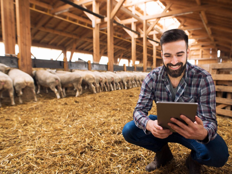 AGRONEGÓCIO E COOPERATIVAS